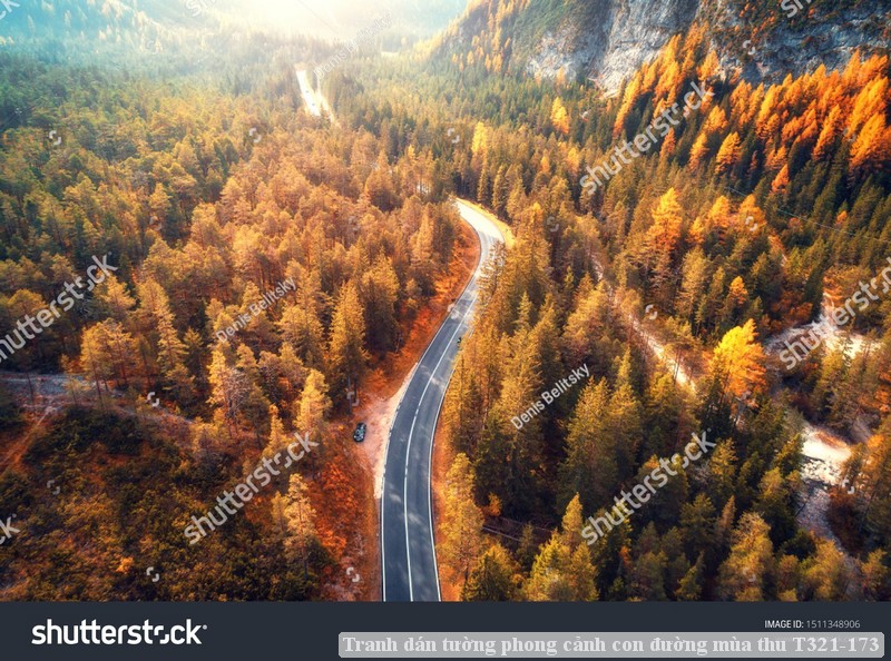 Tranh dán tường phong cảnh con đường mùa thu T321-173